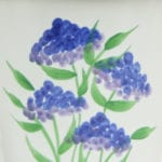 Hydrangea