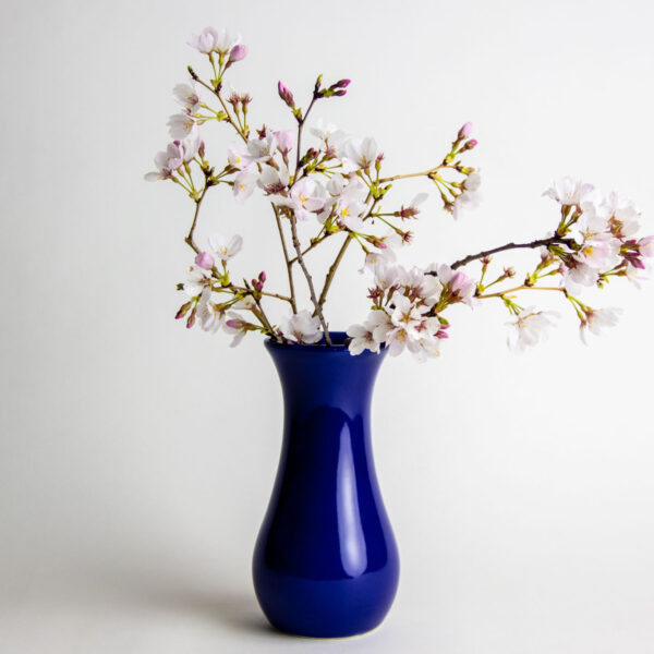 Flower Pots & Vases