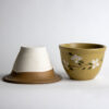 Dogwood African Violet Pot 2