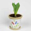 Dragonfly Flowerpot Bud