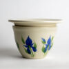 Field of Iris African Violet Pot