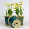 Flower Pots Flowers and bottom