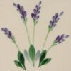 Lavender Trivet