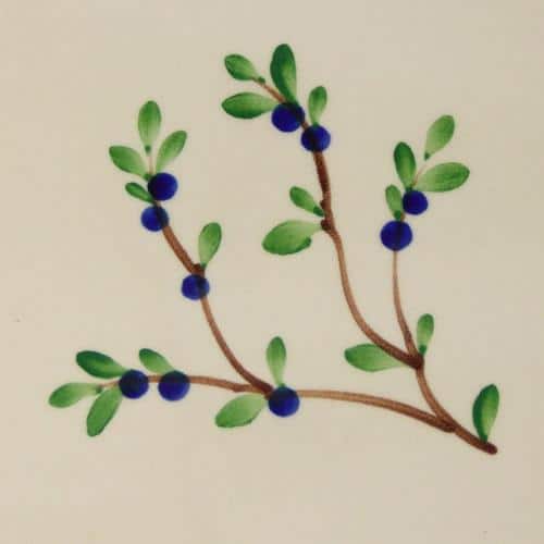 Blueberry