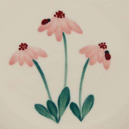 Ladybug