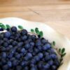 Pie plate with blueberries