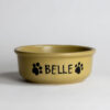 Large Go Green Earthware Custom Pet Bowl