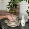 Hands holding Blueberry Classic Dinnerware, coasters and drizzle bottle with fruit and house plants.